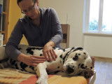 Masseuse animalier et humains