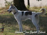 Du Domaine De Mi-loup