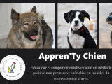 Appren'Ty Chien