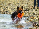Appren'Ty Chien