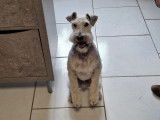 Au Domain'Canin