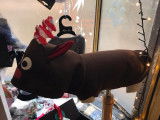 Dog Saloon