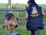 Centre canin du loup au grand coeur