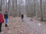 Centre canin du loup au grand coeur