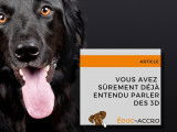 "Les 3D". Article à retrouver sur https://educ-accro.fr/news