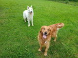 Jim et Compagnie