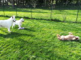Jim et Compagnie