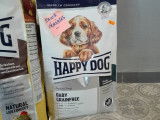 Attitude Dog