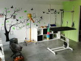 Espace Canin