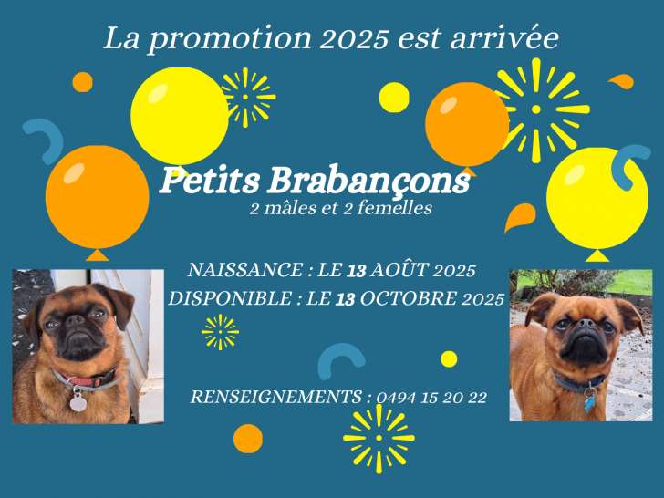 La Bande à Bouba