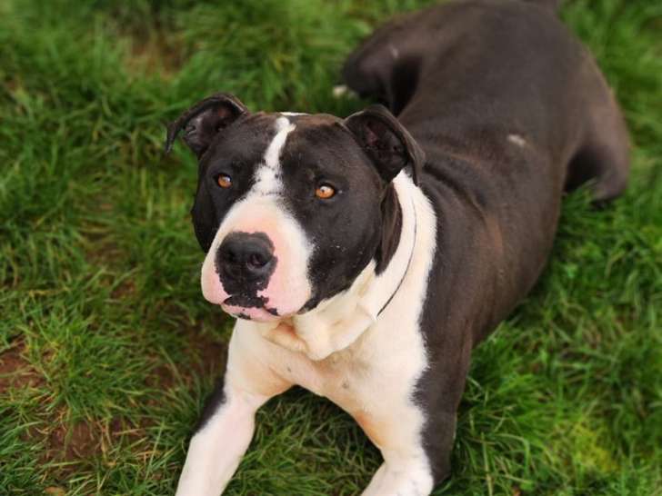 Les Crocs en Positif