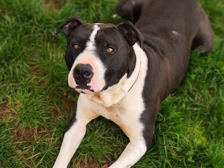 Les Crocs en Positif