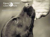 Equi-Libre Can-Ain