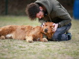 We Can Dog It