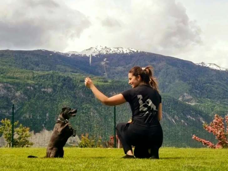 Ec-Dog