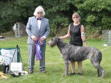 Irish Wolfhound Club of Canada
