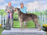 Irish Wolfhound Club of Canada
