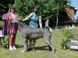 Irish Wolfhound Club of Canada