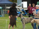 Irish Wolfhound Club of Canada