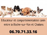 Educ & Fun - Educateur et comportementaliste canin - La Roche-sur-Yon - Challans