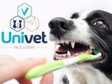 Univet
