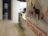Clinique vétérinaire du Toulon