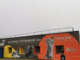 Clinique vétérinaire du Toulon