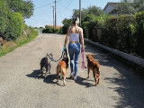 Equi'Libre Canin
