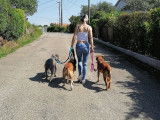 Equi'Libre Canin