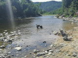 Equi'Libre Canin