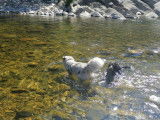 Equi'Libre Canin