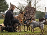 The Free Dog Club