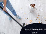 Dog Academia Cévennes – Educateur et comportementaliste canin à Alès et ses alentours