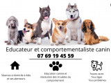 Dog Academia Cévennes – Educateur et comportementaliste canin à Alès et ses alentours