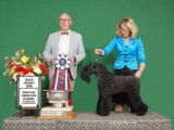 Kerry Blue Terrier Club of Canada