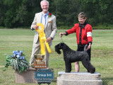 Kerry Blue Terrier Club of Canada