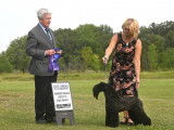 Kerry Blue Terrier Club of Canada