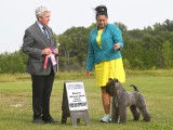 Kerry Blue Terrier Club of Canada