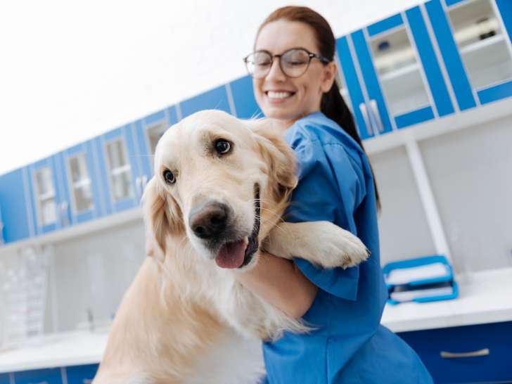 Clinique vétérinaire La Mayrale
