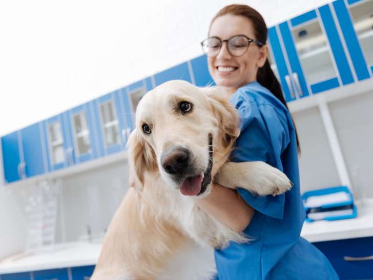 Clinique vétérinaire La Mayrale