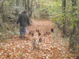 Domaine canin et félin du coustalats