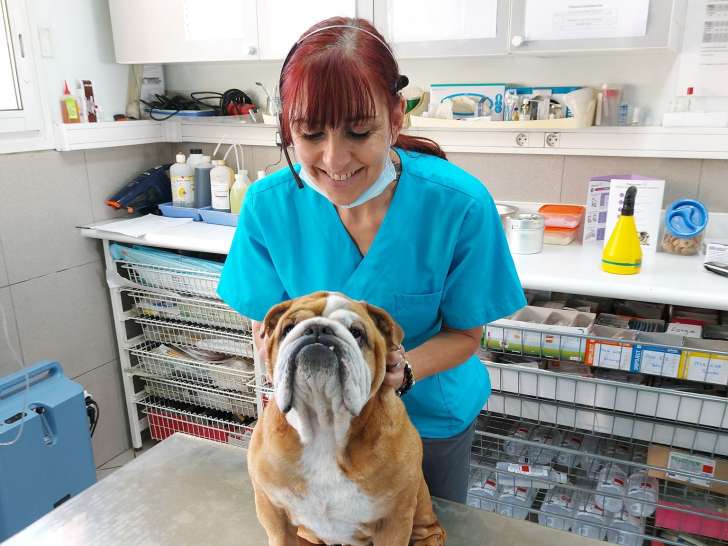 Clinique vétérinaire de la Calypso