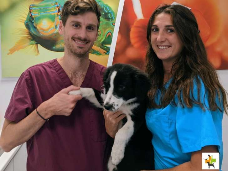 Clinique vétérinaire Vet Olympe