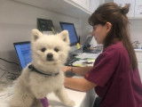 Clinique vétérinaire Vet Olympe