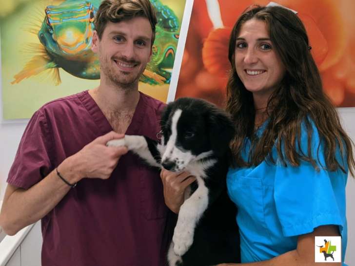 Clinique vétérinaire Vet Olympe