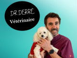 Clinique vétérinaire de la Plage