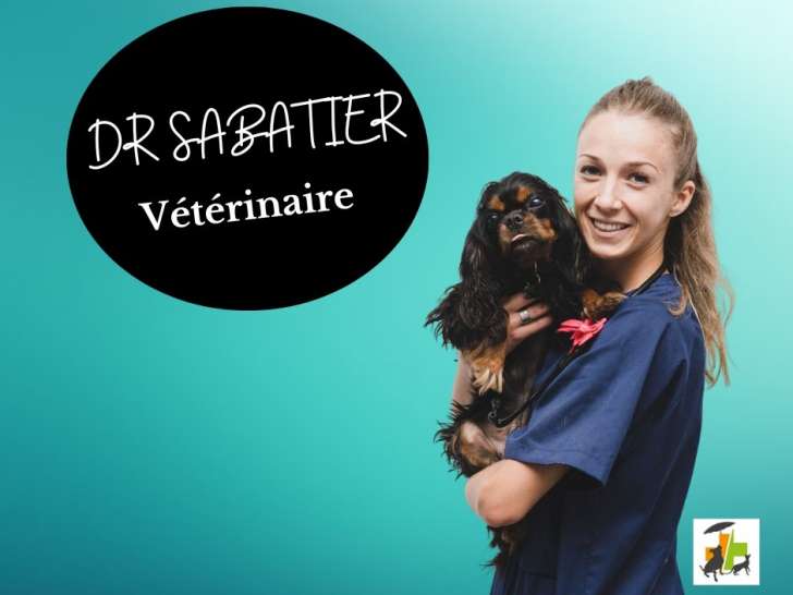 Clinique vétérinaire de la Plage