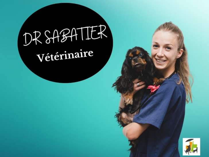 Clinique vétérinaire de la Plage