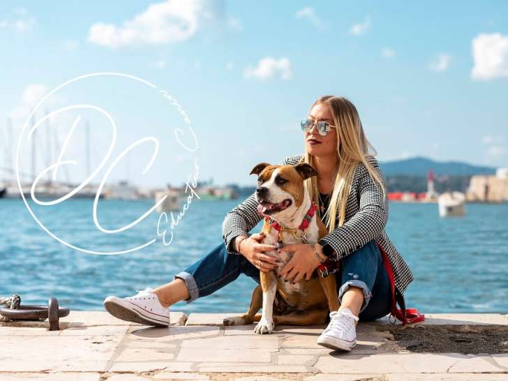 Dog Control