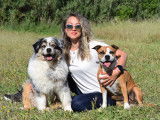 Dog Control